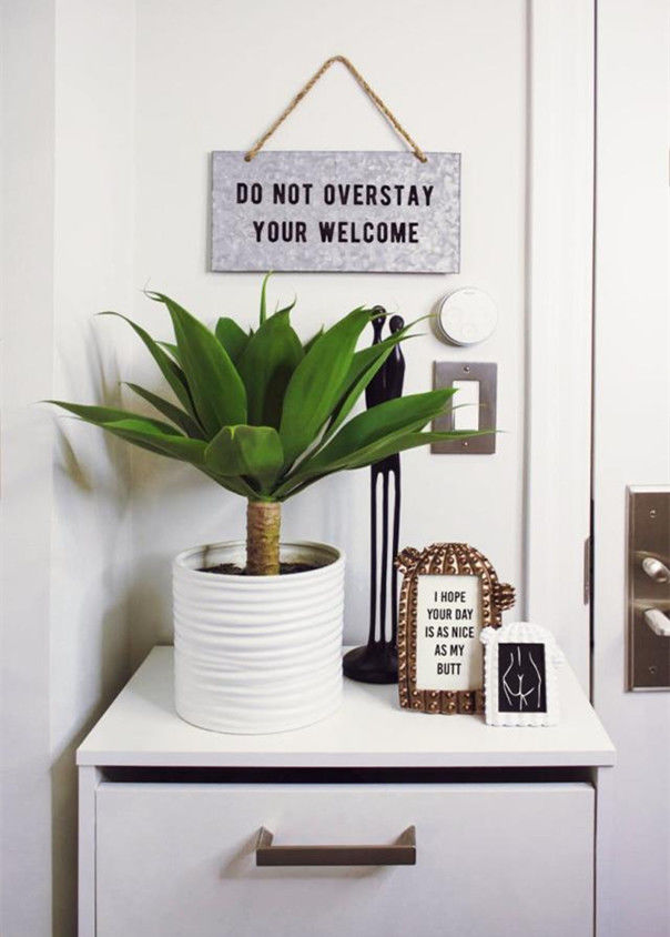 酒店裝飾設(shè)計(jì)：如何選擇擺放酒店裝飾花草？